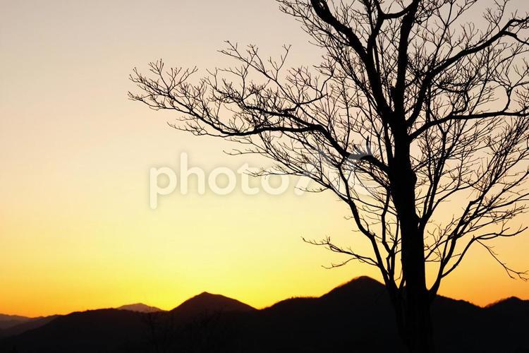 夕暮れ 春,陽が長くなった,淋しいの写真素材