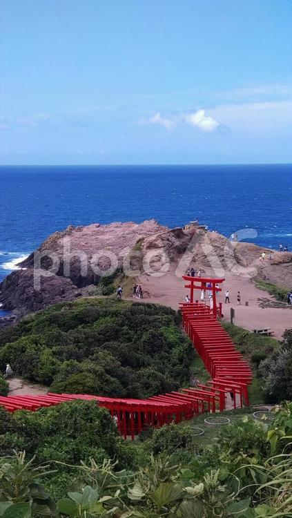 山口県-元乃隅神社-鳥居と青空と日本海 元乃隅神社,神社,鳥居の写真素材