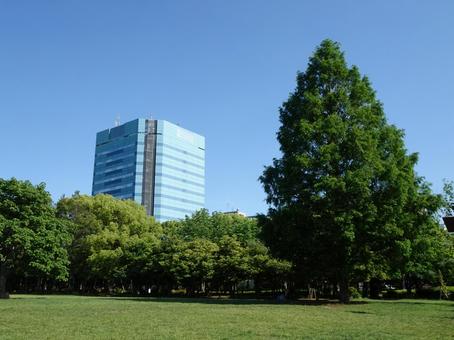 木場公園　ふれあい広場の写真