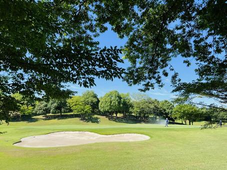 木陰から見るゴルフコースの風景 木陰から見るゴルフコースの風景 ゴルフ,おおむらさきゴルフ俱楽部,ゴルフ場の写真素材