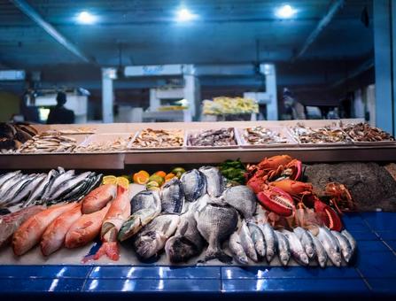 魚市場 魚市場の写真