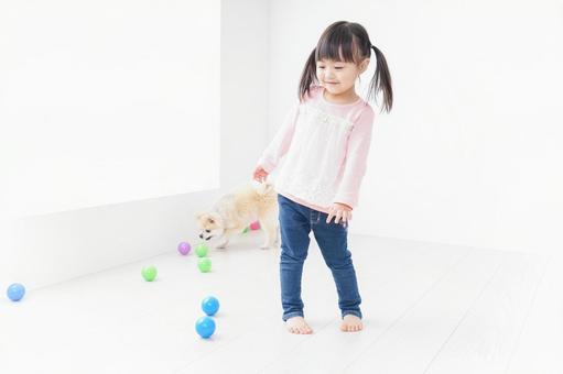 犬と一緒に遊ぶ子ども 犬と一緒に遊ぶ子ども 娘,幼児,教育の写真素材