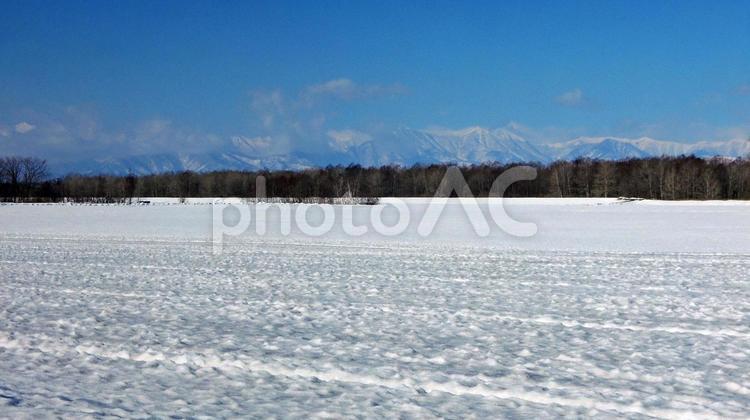 白銀の北海道　白樺　雪山　旅行 北海道,雪景色,雪の写真素材