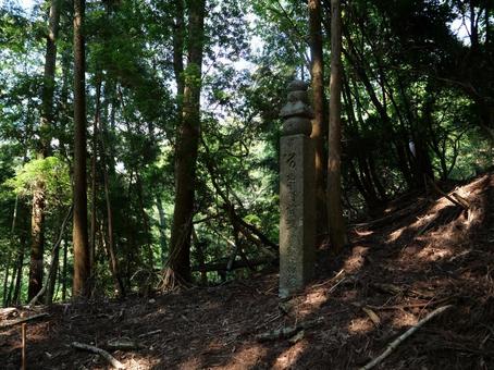 高野山 町石道 高野山 町石道の写真