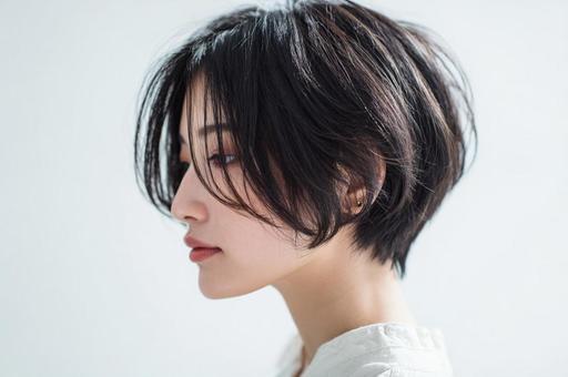 カットモデル-19 カットモデル-19の写真