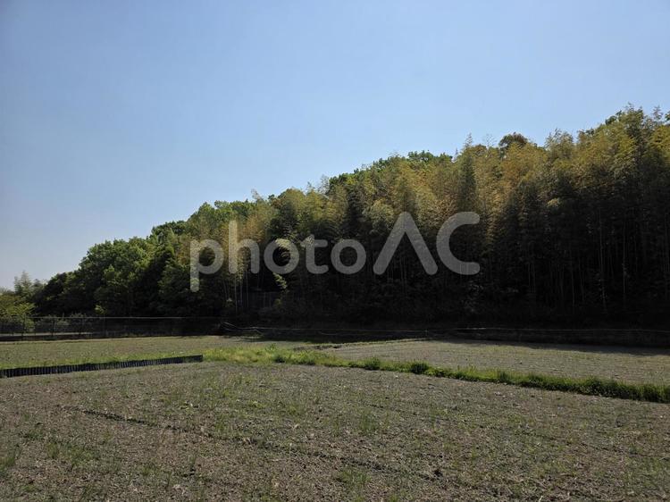 初夏の里山、田畑と竹林の風景 田園風景,午後,景色の写真素材