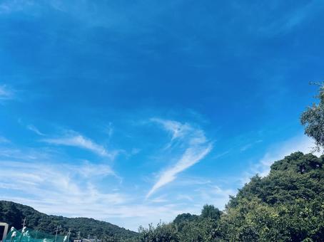 澄んだ青空と夏の緑 澄んだ青空と夏の緑 青空,夏空,雲の写真素材