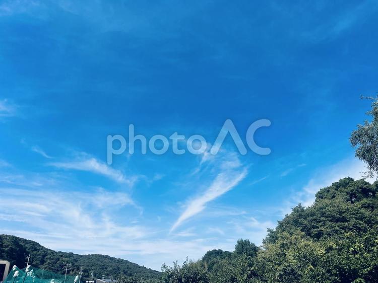 澄んだ青空と夏の緑 青空,夏空,雲の写真素材