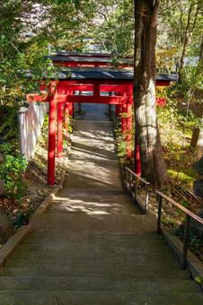 斗瑩稲荷神社⒀ 神社,斗瑩稲荷神社,とっけさまの写真素材
