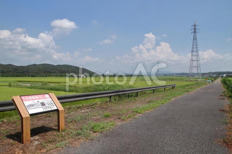 三木鉄道、下石野駅、跡地 三木鉄道,別所ゆめ街道,廃線の写真素材