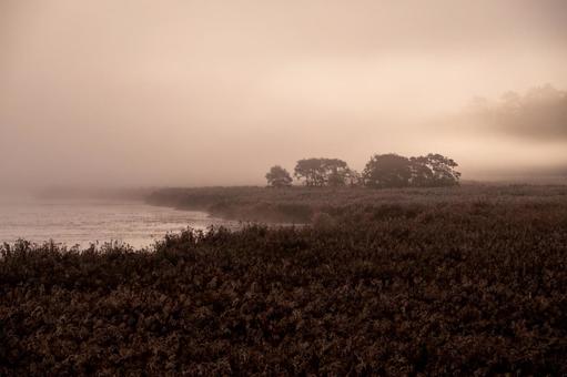 深い朝霧の中で湖畔に昇る朝日 釧路湿原,達古武湖,朝霧の写真素材