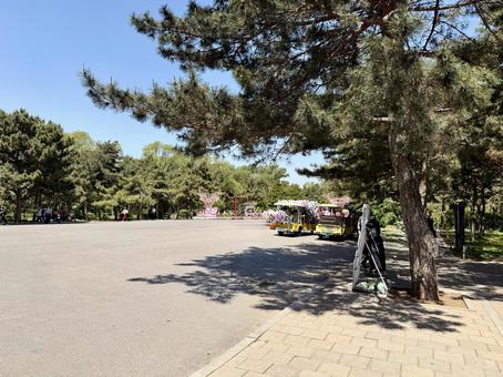 北陵公園内の道の写真