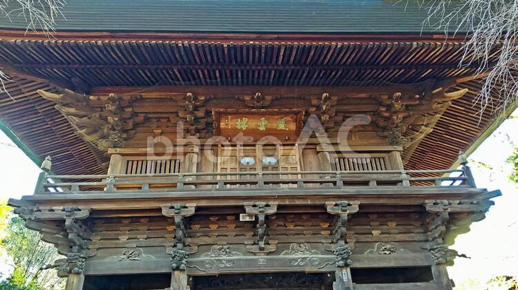 九品仏　浄真寺 九品仏浄真寺,九品仏,浄信寺の写真素材