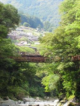 徳島県-祖谷のかずら橋 徳島県-祖谷のかずら橋の写真