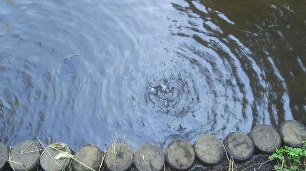 湧き水ぷくぷく 湧き水ぷくぷくの写真