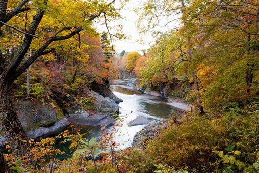 秋の滝上町の風景 滝上町,滝上渓谷錦仙峡,錦仙峡の写真素材