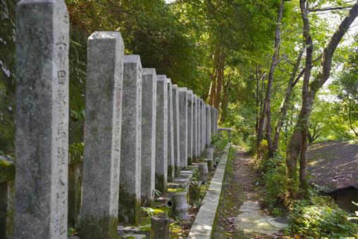 京都霊山護国神社 天誅組の墓地 京都霊山護国神社 天誅組の墓地の写真