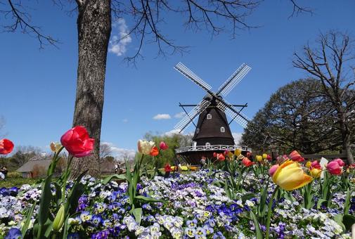 Andersen Park in April-86, JPG