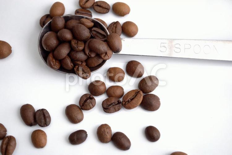 計量スプーンにのせたコーヒー豆 コーヒー豆,計量,計るの写真素材