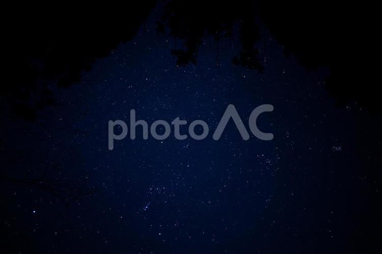 旅行先でみた暗闇に光る綺麗な星空② シンプル,影,星の写真素材