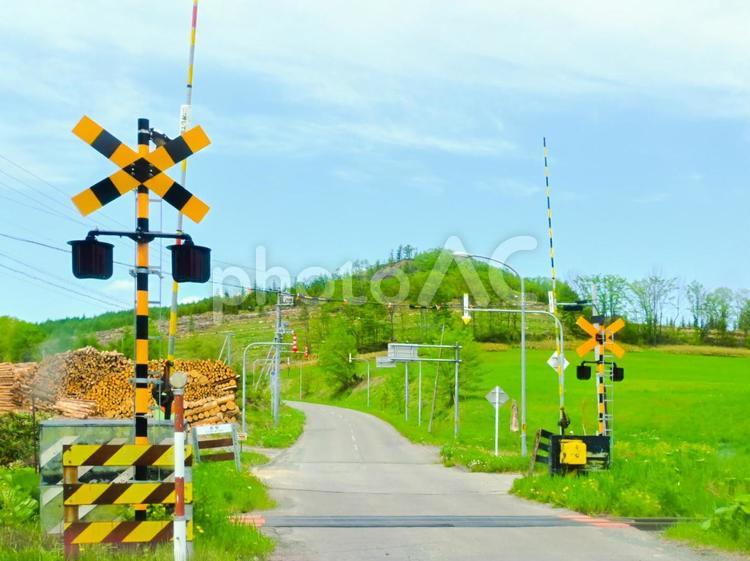 踏切と緑と。 踏切,止める,止まるの写真素材