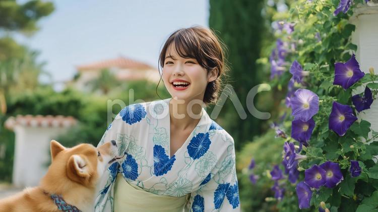 朝顔柄の浴衣を着た女性と柴犬と朝顔 アサガオ,朝顔,あさがおの写真素材