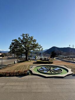 冬の武生中央公園　エントランス 冬,武生中央公園,大木の写真素材