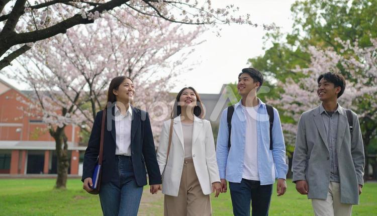 オープンキャンパスで大学を見学の高校生 オープンキャンパス,女子高生,男子高生の写真素材