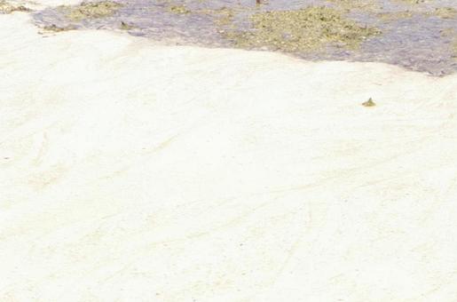 沖縄・背景 沖縄・背景の写真