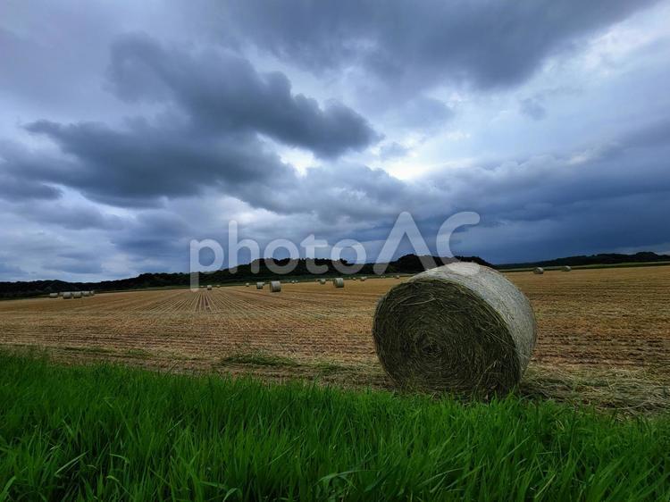 雨上がりの牧場 牧場,風景,牧草ロールの写真素材
