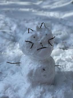 雪だるま 雪だるまの写真