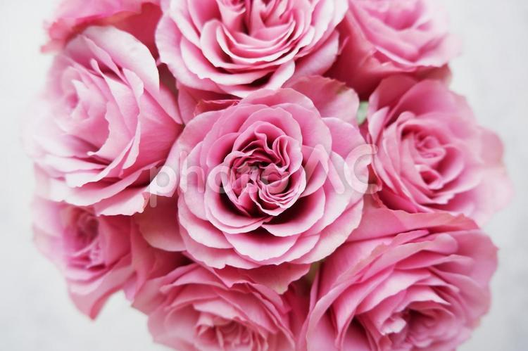 白い大理石背景にピンクのバラの花束 バラ,花,ピンクの写真素材