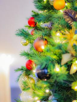 クリスマスツリー クリスマスツリー,12月,ライトの写真素材