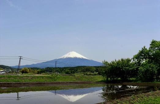 田んぼに映る富士山 田んぼに映る富士山の写真