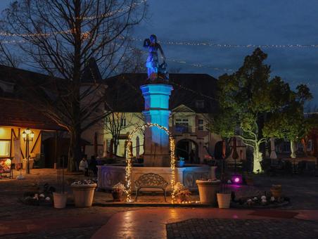 ドイツの森の写真