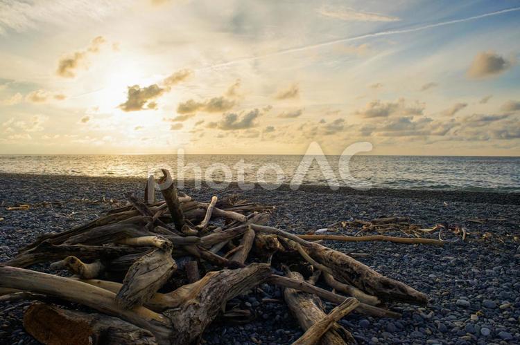 北陸の海と流木とサンセット 海,サンセット,夕焼けの写真素材