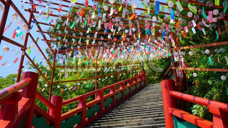 祐徳稲荷神社　階段 佐賀県,祐徳稲荷神社,神社の写真素材