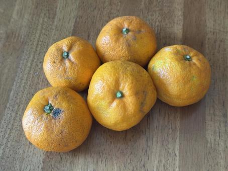 5個のみかん みかん,秋,果物の写真素材