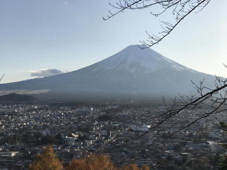 新倉山 新倉山の写真