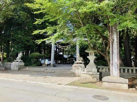駒形神社 鳥居 狛犬 駒形神社 鳥居 狛犬の写真