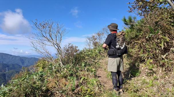 景色を眺める登山者 景色を眺める登山者 登山,縦走,登山者の写真素材