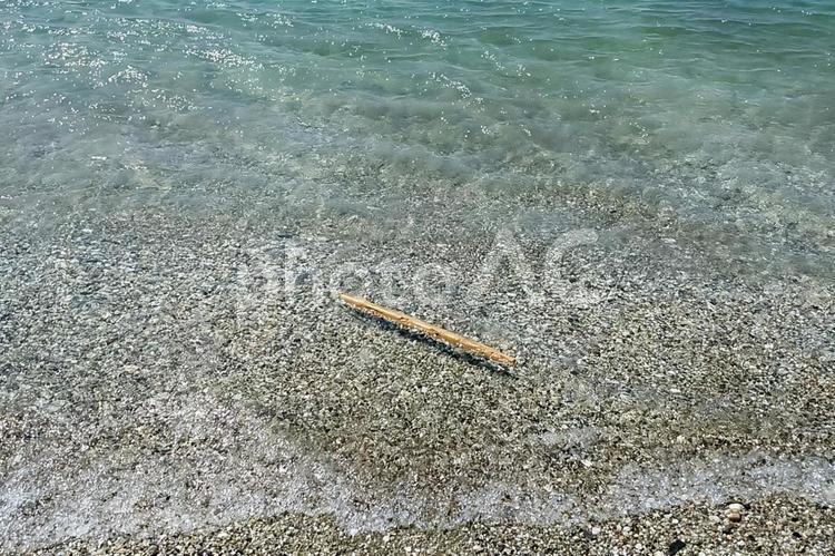 イメージ（流木） 流木,木,流れの写真素材