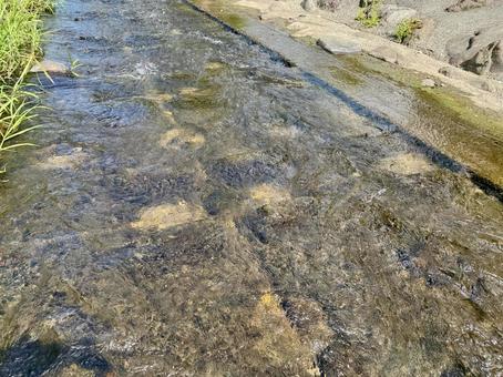 透き通った水の流れ(蛇石せせらぎ公園) 透き通った水の流れ(蛇石せせらぎ公園) 宮城,大和町,蛇石せせらぎ公園の写真素材