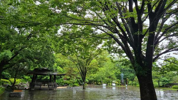 雨の武蔵塚公園 雨の武蔵塚公園 武蔵塚公園,宮本武蔵,石畳の写真素材