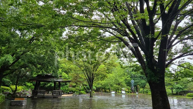 雨の武蔵塚公園 武蔵塚公園,宮本武蔵,石畳の写真素材