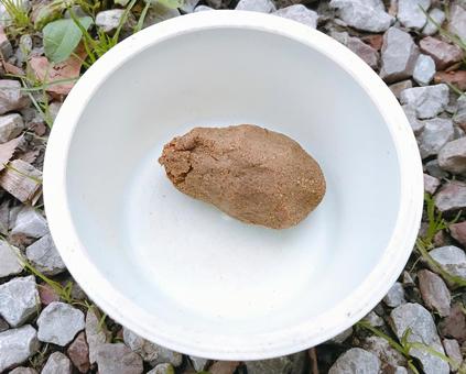 練り餌 練り餌,釣り餌,餌の写真素材