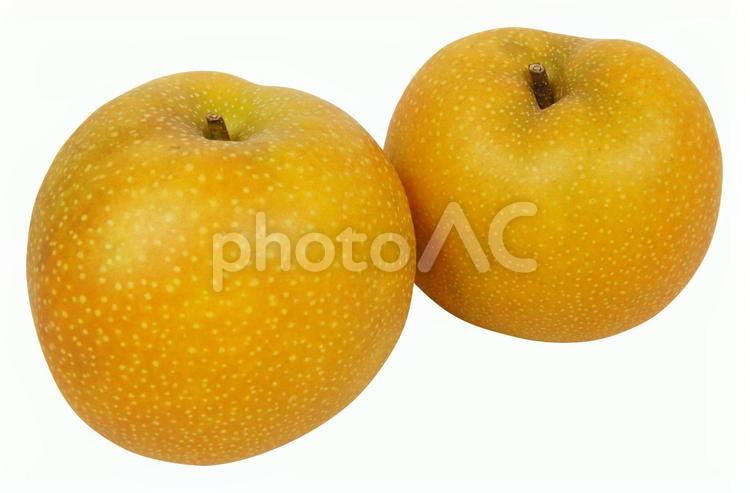 新甘泉「しんかんせん」２個【PSD切抜】 果物,梨,鳥取の写真素材