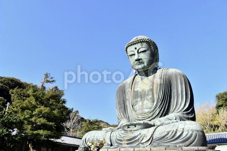 鎌倉大仏と青空 鎌倉大仏,大仏,鎌倉の写真素材