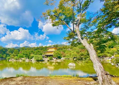 金閣寺 金閣寺 金閣寺,金閣,鹿苑寺の写真素材