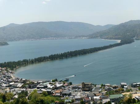 天橋立笠松A 天橋立笠松Aの写真